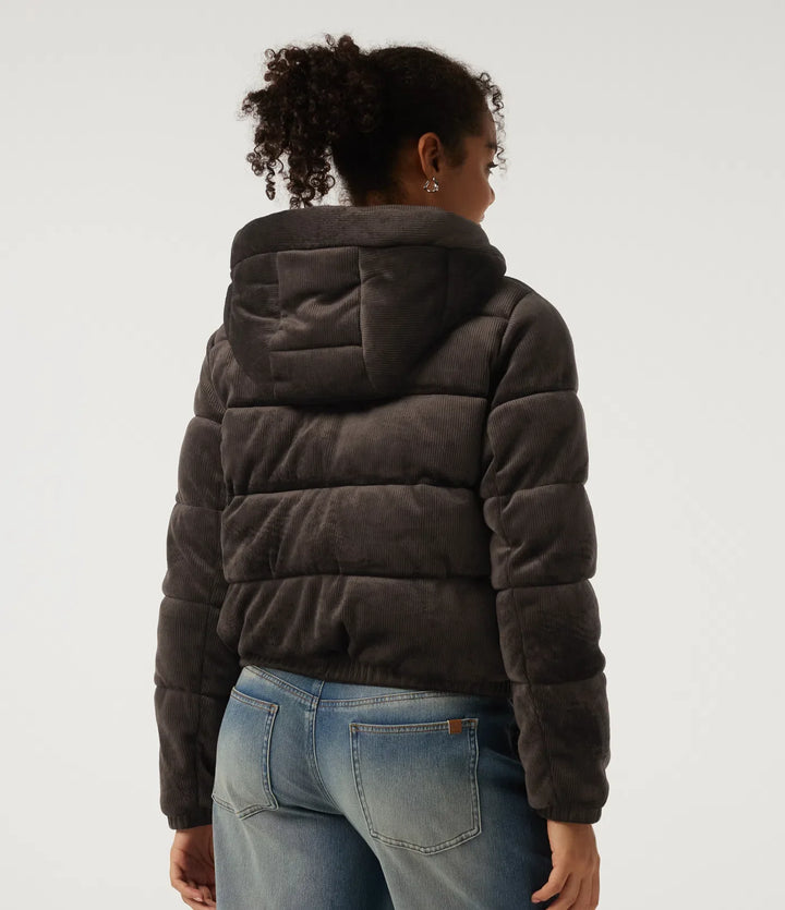 Ribbed Knit Removable Hood Long Sleeve Fleece Casual Padded Jacket with Pockets